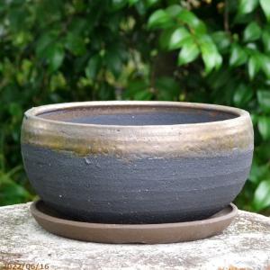 金彩中深 7号 サナサービス 信楽焼 植木鉢 陶器 【山野草鉢 多肉植物鉢