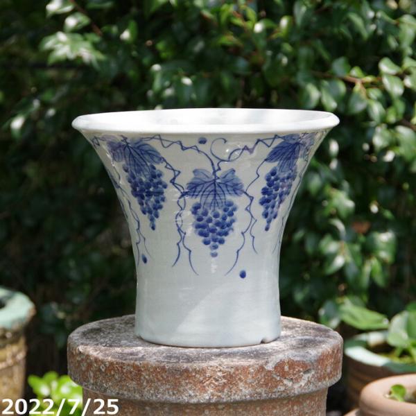 信楽焼  植木鉢 陶器　手びねり 染付　葡萄文　ソリ鉢10号　サナサービス