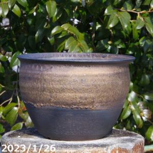 信楽焼 植木鉢 金彩ソリ鉢 三つ組（7号・6.5号・6号）【山野草鉢 多肉