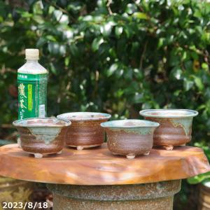 資 特大鉢 R-05L SET/6（穴あり） セット商品 送料無料 植木鉢