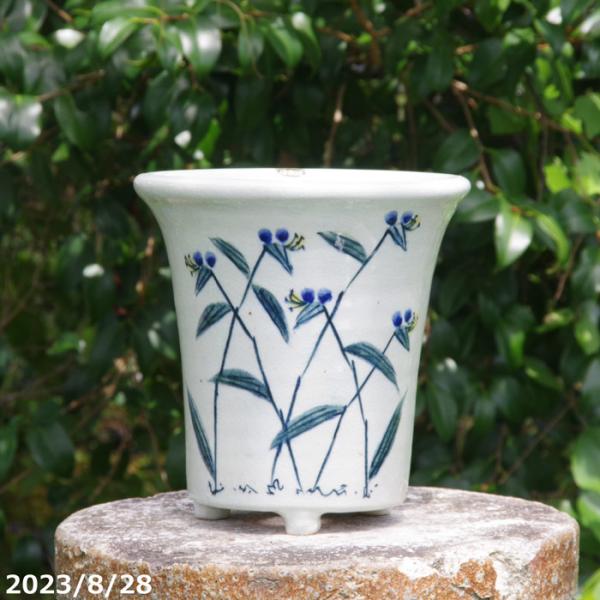 信楽焼  植木鉢 陶器　手びねり  染付　ツユクサ　ソリ6.5号　サナサービス