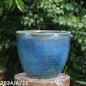 信楽焼 植木鉢 陶器 大型 生子懸崖鉢 15号（直径47.5cm 高さ42cm