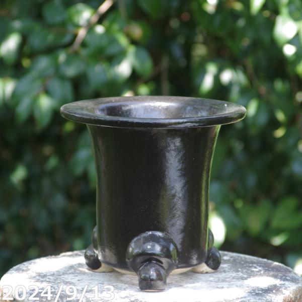 信楽焼 植木鉢 陶器　楽風　楽風　オモト(万年青)鉢　6号（外径18.5cm 高さ17.5cm）サナ...