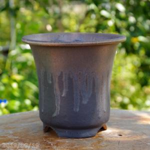 【まとめ売り】信楽焼　楽風 オモト鉢　５号　日本製 楽天市場】【クーポン発行中！〜10/13】信楽焼 植木鉢 陶器 楽風