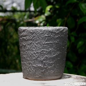 信楽焼 植木鉢 イブシ松皮 4.5号（外径13.5cm 高さ14cm） サナサービス