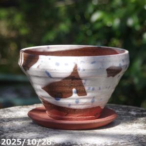信楽焼 植木鉢 陶器 大型 生子懸崖鉢 15号（直径47.5cm 高さ42cm