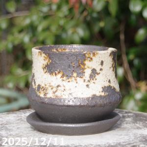 ishidaseikaen_kk-1576