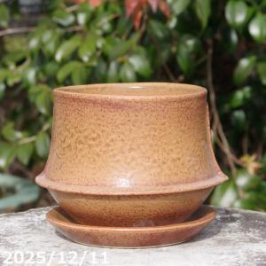 ishidaseikaen_kk-1577