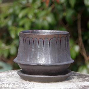 ishidaseikaen_kk-1578