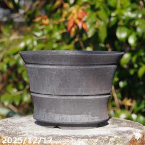 信楽焼 植木鉢 金彩ソリ鉢 7号 【山野草鉢 多肉植物鉢 盆栽鉢】 : 石田