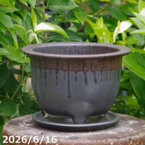 ishidaseikaen_kk-1603