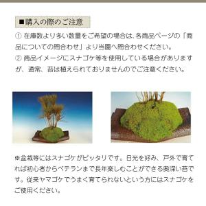 信楽焼 植木鉢 陶器 大型 生子輪型切高台鉢 ...の詳細画像5