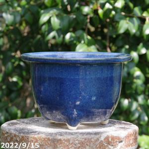 信楽焼 植木鉢 陶器 大型 生子懸崖鉢 13号（直径41cm 高さ39cm）【送料