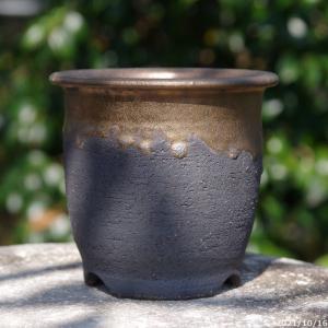 黒化粧 オモト鉢(万年青鉢) 5号 サナサービス 信楽焼 植木鉢 陶器