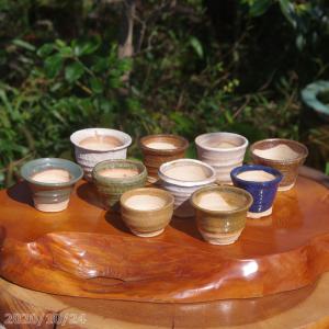 陶器 信楽 舟形 自然木 手付き 盛鉢 43.5cmx31.5cm(A342) 陶器 信楽 舟形 自然木 手付き 盛鉢 43.5cmx31.5cm(A342)