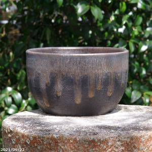 信楽焼 植木鉢 生子懸崖鉢 10号（直径31.5cm 高さ33cm） 【送料無料