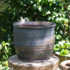 植木鉢【禄巳斉春松】手作り切立長角盆栽鉢(イブシ）13号 : ヤマコー