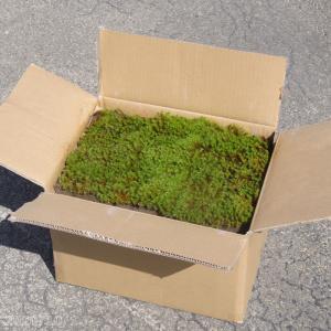 代引不可】 庭園用 スギゴケ 杉苔 8枚入 1箱（0.8平米）【送料無料