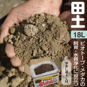 水質浄化に役立つ　ビオトープ・メダカ・睡蓮（スイレン）・水草の土　「田土」(荒木田土)　段ボール箱入　約18L+「田土すまし液4Ｌ」｜ishidaseikaen