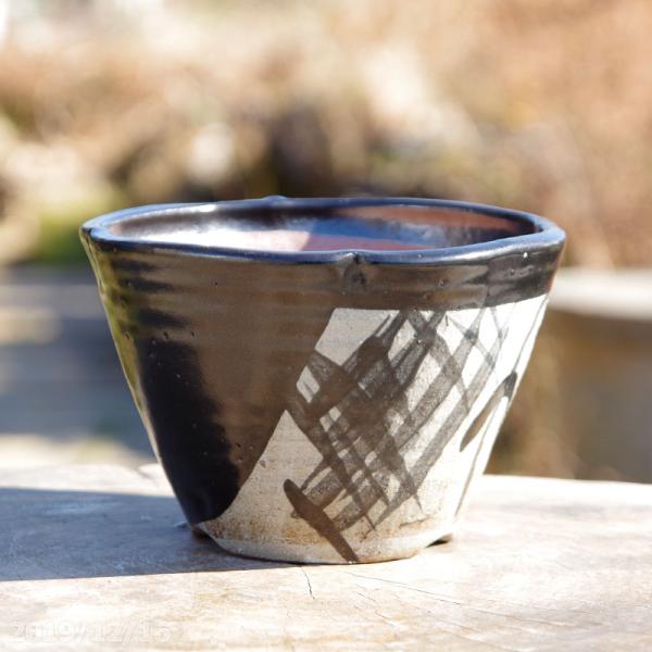 信楽焼 植木鉢　染付角切 6号（外径18.5cm 高さ10.5ccm）