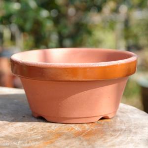 常滑焼 植木鉢 駄温鉢 浅型 6号（直径18cm） : 石田精華園 Yahoo!店