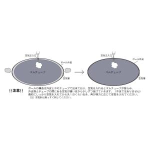 CANTERBURY カンタベリー ラグビーボ...の詳細画像5