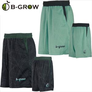 B-GROW BBショーツ BBDS-0306 BBDS-0307 バスケ バスケット 練習 ショーツ ハーフパンツ 短パン 制菌効果 防臭 ショートタイプ チームファイブ｜ishidasp