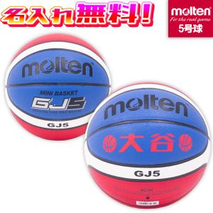 モルテン ビブスジュニア用（小学生用）10枚セット molten ゲーム