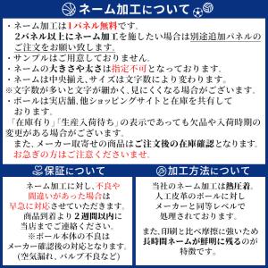 【名入れ無料】 molten モルテン ヴァン...の詳細画像4