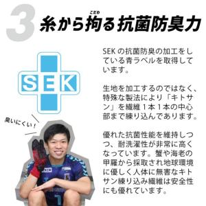 【送料無料】 Activital pro アク...の詳細画像4