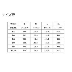 【送料無料/即日発送】IN THE PAINT...の詳細画像5