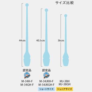 SASAKI ササキ グラデーションジュニアラ...の詳細画像5