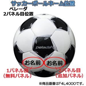 【ネーム加工/パネル追加】各種ボール ネーム入...の詳細画像3