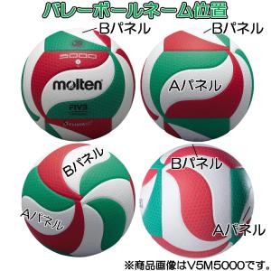 【ネーム加工/パネル追加】各種ボール ネーム入...の詳細画像5