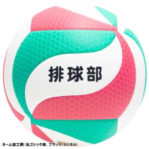 【名入れ無料】 molten モルテン フリス...の詳細画像1