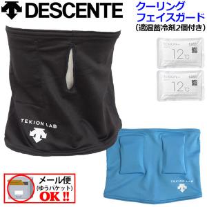 1点までメール便可 デサント DESCENTE 適温クーリング フェイスガード 蓄冷材2個入り DX-C0739 DXC0739 2021春夏 熱中症対策 運動 スポーツ 部活 トレーニング
