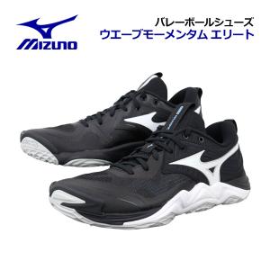 MIZUNO（ミズノ） 2026春夏 バレーボールシューズ ウエーブ