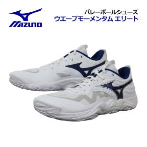 ASICS（アシックス） 2025秋冬新色 メンズ バレーボールシューズ SKY