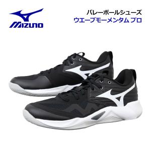 MIZUNO（ミズノ） ウエーブモーメンタム 2 V1GA211252 メンズ