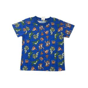 スモDS2323 【ピクサーキャラクター】クール...の商品画像