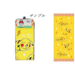 ハヤFM483100 【ポケットモンスター】フェ...の商品画像