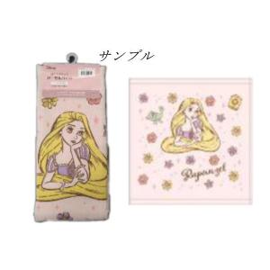 ハヤFM474400 【ディズニープリンセス】ガ...の商品画像