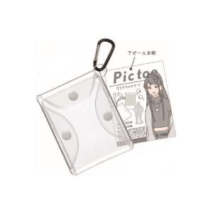 クラ116685 【送料無料】【Pic too】クリアマルチケース【グレー