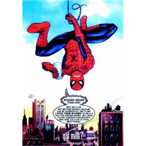 スパイダーマン【Spider-Man】【NO.24】ポスター！アメリカ〜ンなポスターが勢揃い！お部屋...