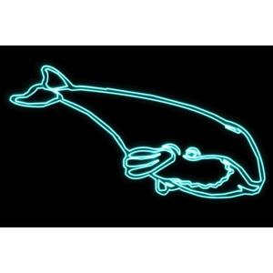 【ネオン】クジラ【くじら】【鯨】【海】【ウェール】【アニマル】【動物】【ネオンライト】【電飾】【LED】【ライト】【サイン】【neon】【看板】【｜ishidaya-co