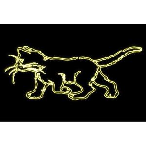 【ネオン】猫【ねこ】【ネコ】【キャット】【アニマ...の商品画像