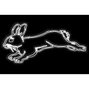 【ネオン】兎【うさぎ】【ウサギ】【ラビット】【アニマル】【動物】【ネオンライト】【電飾】【LED】【ライト】【サイン】【neon】【看板】【イルミ