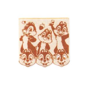 ディズニーチップ デール ウォッシュタオル エンジョイフェイス Ja キャラクター雑貨 ラフラフ 通販 Yahoo ショッピング