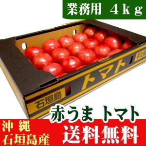 赤うまトマト A品４ｋｇ（約20〜30玉）産地直送野菜 送料無料｜ishigakijimanoukatai