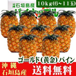 最高級パイン！ゴールドバレル パイン 10kg5〜10玉 石垣島産